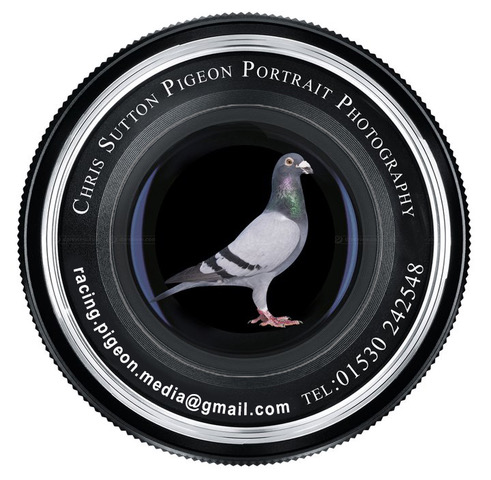 Chris Sutton Pigeon Photography Logo