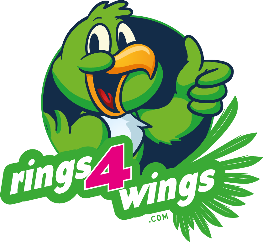 Rings4Wings Logo