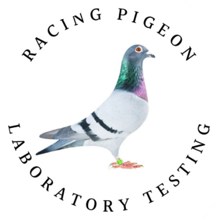 Racing Pigeon Laboratory Testing Logo